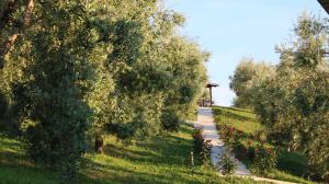 Paesaggio naturale nelle vicinanze del campeggio
