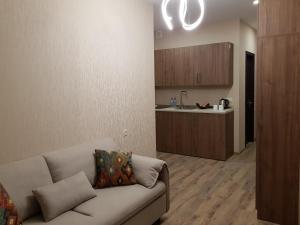 Kuchyň nebo kuchyňský kout v ubytování Bakuriani Crystal Resort Apartment