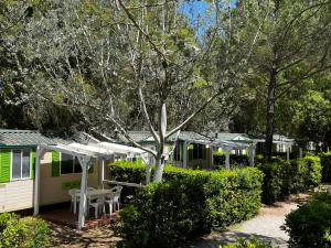 Kép Helloocamp szállásáról Marina di Bibbonában a galériában
