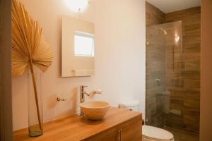 La salle de bains est pourvue d'un lavabo et d'une douche. dans l'établissement Hotel Fratelli, à Aguascalientes