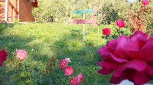 Giardino di Agroturizem Bylis