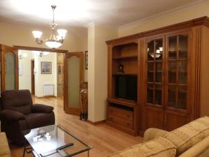 A television and/or entertainment centre at Apartamentos Villa Nustre