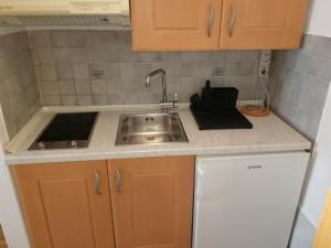 a small kitchen with a sink and a sink at Apartmaji Z Fizine in Portorož
