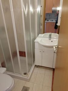 a bathroom with a shower and a sink and a toilet at Apartmaji Z Fizine in Portorož