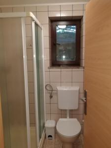 a bathroom with a toilet and a window at Apartmaji Z Fizine in Portorož