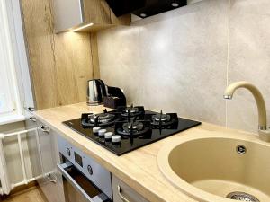 a kitchen with a stove and a sink at M&M Apartment V SELF CHECK-IN in Panevėžys