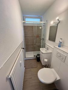 a small bathroom with a toilet and a shower at KnocksCasa4You 1 Zimmer Appartement Nr 5 direkt in Marburg in Marburg an der Lahn