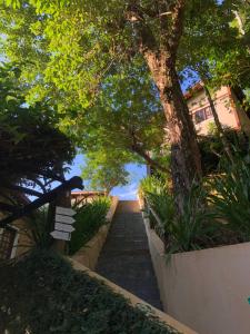 una escalera que conduce a un edificio con un árbol en Propriedade a 80 metros da praia do Curral, en Ilhabela