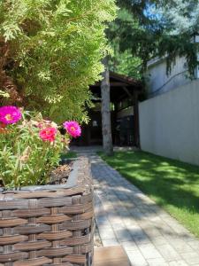 Gallery image of Panyi Apartman in Siófok +7 photos