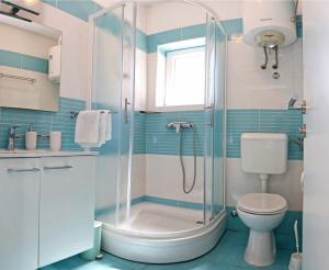 ein Bad mit einer Dusche und einem WC in der Unterkunft Apartmani Cili in Miletići