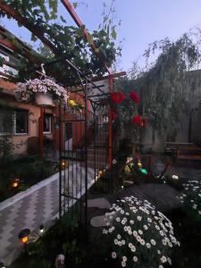 Zahrada ubytování Apartament "3 PAPUCI"