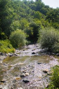 un ruisseau d'eau avec des rochers et des arbres dans l'établissement Spitak tun, à Ijevan