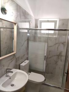 a bathroom with a sink and a toilet and a shower at San Pedro in Vasiliki +27 photos