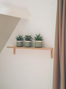 three plants sitting on a wooden shelf on a wall at Hotel De Waag in Bergen