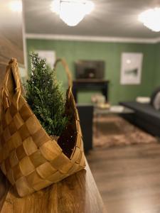 ein Korb mit einer Pflanze auf einem Tisch in der Unterkunft Blackforest Apartment in Freudenstadt