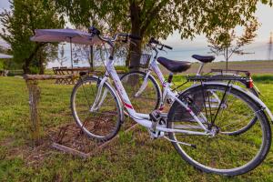 a bike parked in the grass under a tree at all'ombra del Bagolaro in Taglio di Po