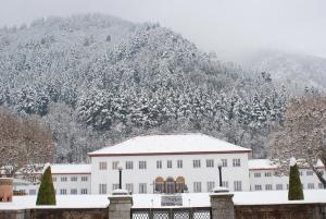 The LaLit Grand Palace Srinagar talvel