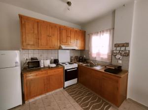 a kitchen with wooden cabinets and a white refrigerator at Anemone Rose - Chora center in Andros +19 photos