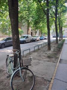 a bike parked next to a tree on a sidewalk at Center Firefly Danube Apartment in Novi Sad