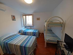 聖貝內代托德爾特龍托的住宿－Appartamento Felicia，一间卧室设有两张双层床和一扇窗户。