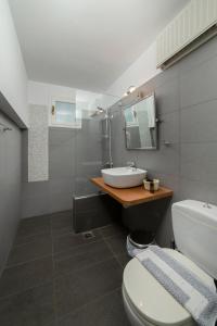 uma casa de banho com um WC branco e um lavatório. em Victoria's Summerhouse em Andros