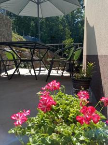Zahrada ubytování Apartment Zlatko