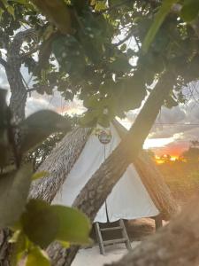 ein weißes Zelt mit einem Strohdach und einem Stuhl in der Unterkunft Cabana Camping Jalapão in São Félix