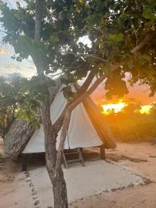 Φωτογραφία από το άλμπουμ του Cabana Camping Jalapão σε São Félix +19 φωτογραφίες