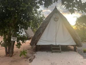 a tent with a chair in the sand under a tree at Cabana Camping Jalapão in São Félix do Tocantins