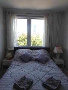 um quarto com uma cama com duas almofadas e uma janela em GRUNWALD APARTMENTS em Szczecin