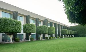 un bâtiment avec une rangée d'arbres et une pelouse dans l'établissement Hotel Estancia Business Class, à Guadalajara