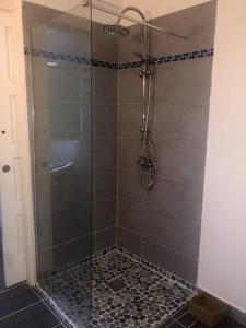 a shower stall with a glass door and a shower at Studio cosy avec piscine in Saint-Joseph
