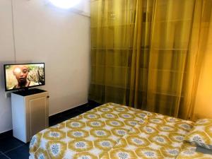 - une chambre avec un lit et une télévision à écran plat dans l'établissement Studio cosy avec piscine, à Saint-Joseph