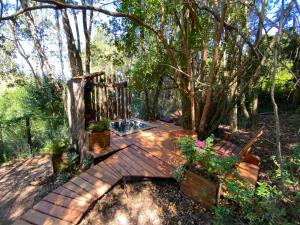 a garden with a wooden deck with a pool at Cabaña con tinaja en bosque Valdiviano in Valdivia