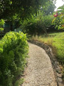 un chemin en pierre dans un jardin avec des buissons dans l'établissement Charmant bungalow avec piscine, à Saint-Joseph