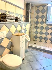 ein Bad mit einem WC und einer Dusche in der Unterkunft Komfort Ferienwohnung nähe Bosenberg in Sankt Wendel