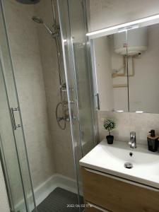 bagno con doccia, lavandino e specchio di St Pierre La Mer,Appartement T2 en residence calme a Fleury