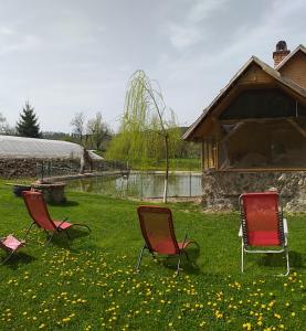 3 Stühle sitzen im Gras vor einem Haus in der Unterkunft Miliza Agropensiunea in Petriş