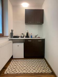 eine Küche mit Spüle und Arbeitsplatte in der Unterkunft Savoya5 Old CityCenter Selfcheckin WorkspaceStudio in Timişoara