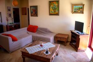 a living room with a couch and a tv at FILIS APARTMENT in Áyios Andréas Messinias