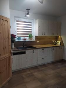Kuchyň nebo kuchyňský kout v ubytování Villa Jarka