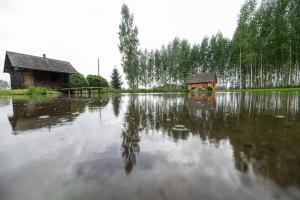 Příroda nedaleko kempu