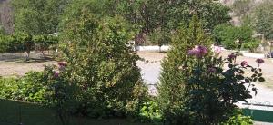 Vonkajšia záhrada v ubytovaní Guesthouse Eleftherios