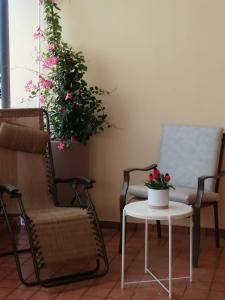 a living room with chairs and a table with a plant at Matera Da - Mare in Marina di Pisticci