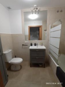 La salle de bains est pourvue de toilettes, d'un lavabo et d'un miroir. dans l'établissement APARTAMENTO GIGONZA, à Segura de León