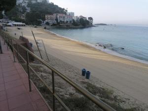 Príroda v okolí apartmánu + 37 fotografií
