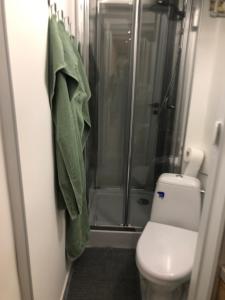 a bathroom with a shower and a toilet with a towel at Apartament Mazury in Giżycko