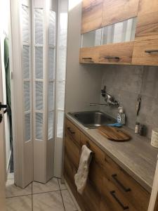 Kuchyňa alebo kuchynka v ubytovaní Apartament Mazury