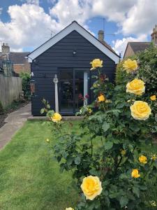a black house with yellow roses in the yard at Unique one bed contemporary bungalow town centre in March