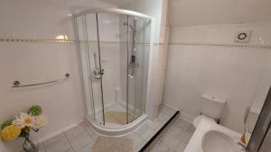 a bathroom with a shower and a toilet and a sink at Tennyson Lodge in Mablethorpe